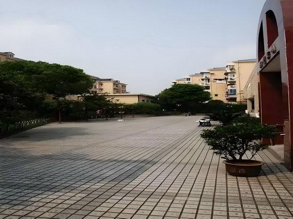 凤钗明珠泪：皇后纪